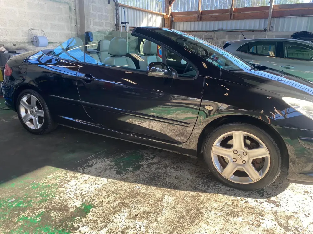 307 CC lustrage et efface rayures (7)