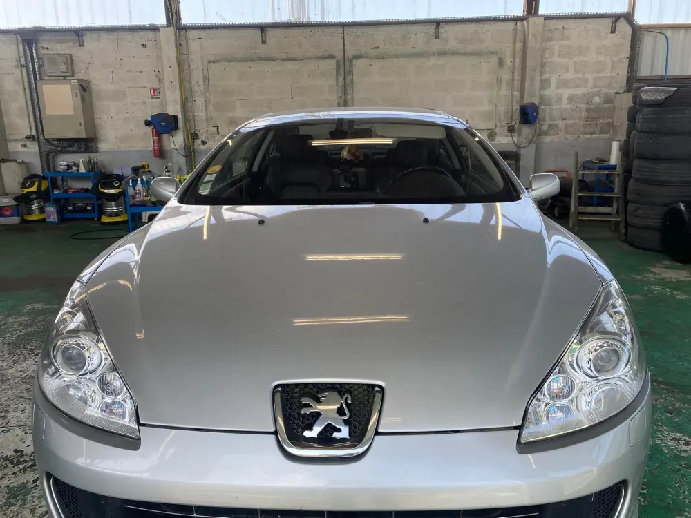 407 coup rénovation optique de phare (6)webp